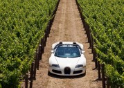 Bugatti Veyron 16.4 Grand Sport Bugatti Veyron 16.4 Grand Sport